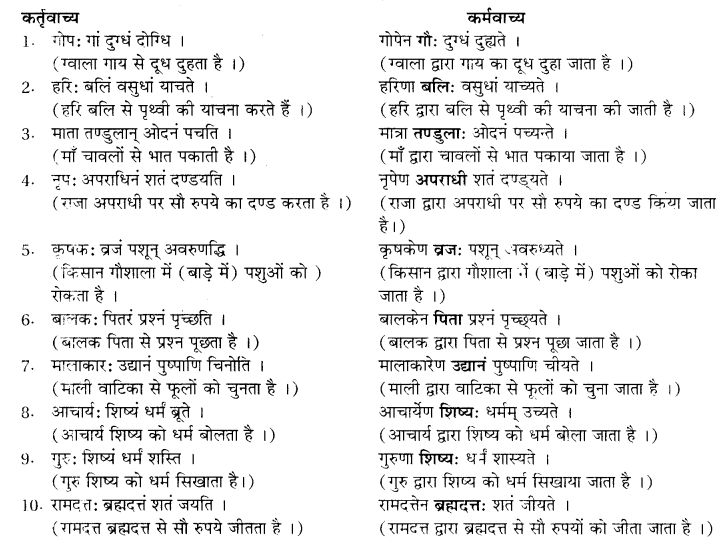 Vachya In Sanskrit RBSE Class 10