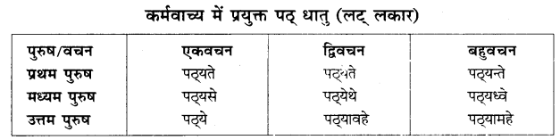 Vachya Parivartan Sanskrit Class 10 RBSE 