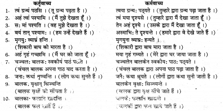 संस्कृत में वाच्य परिवर्तन के उदाहरण RBSE Class 10