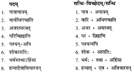 RBSE Solution Class 10 Sanskrit