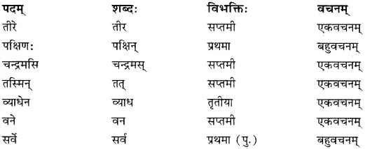RBSE Solutions For Class 10 Sanskrit Chapter 2