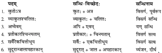 वायसः का अर्थ In Hindi RBSE Solutions Class 10
