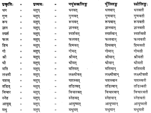 Matup Pratyaya In Sanskrit RBSE Class 10