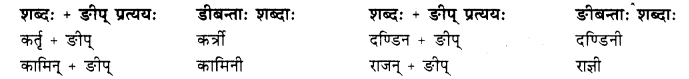 Class 10 Sanskrit Grammar Pratyay RBSE