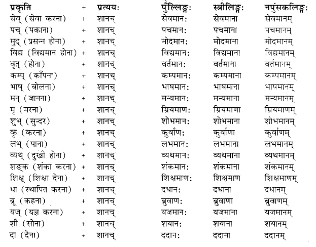 Pratyay Sanskrit Class 10 RBSE