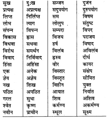 Vilom Shabd In Hindi For Class 7 RBSE
