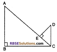 Solution Of Maths Class 10 RBSE