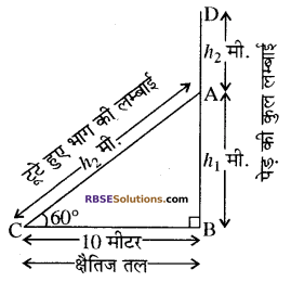 RBSE Solutions For Class 10 Maths Chapter 8