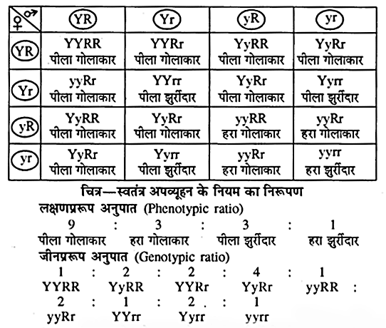 RBSE Class 10 Science Chapter 3 In Hindi