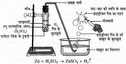 RBSE Solution Class 10 Science