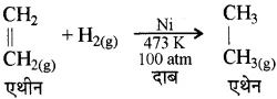 RBSE Class 10 Science Chapter 6 In Hindi Medium