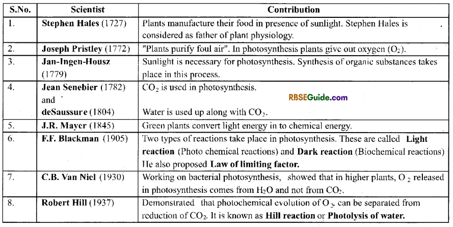 RBSE Class 12 Biology Notes Chapter 10 Photosynthesis Notes 1