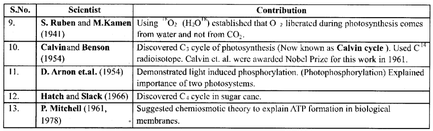 RBSE Class 12 Biology Notes Chapter 10 Photosynthesis Notes 2