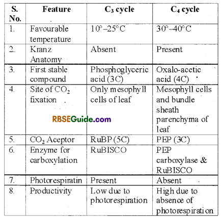 RBSE Class 12 Biology Notes Chapter 10 Photosynthesis Notes 33