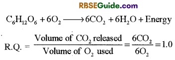 RBSE Class 12 Biology Notes Chapter 11 Respiration Notes 44