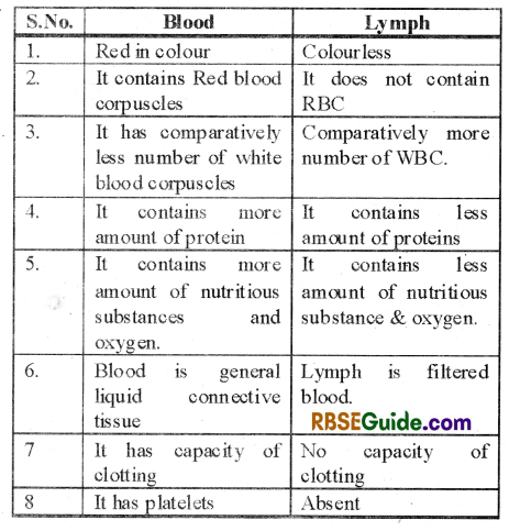 RBSE Class 12 Biology Notes Chapter 24 Man-Blood Vascular, System 24