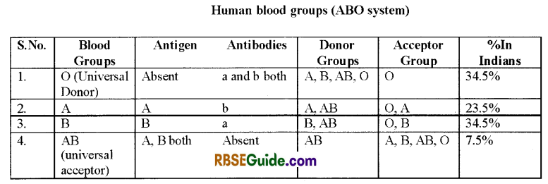 RBSE Class 12 Biology Notes Chapter 24 Man-Blood Vascular, System 6