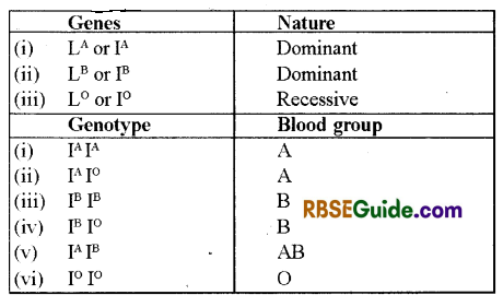 RBSE Class 12 Biology Notes Chapter 24 Man-Blood Vascular, System 8
