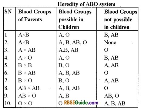 RBSE Class 12 Biology Notes Chapter 24 Man-Blood Vascular, System 9
