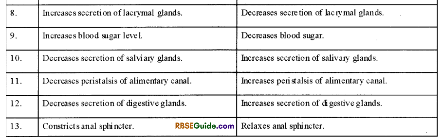 RBSE Class 12 Biology Notes Chapter 26 Man-Nervous System 16