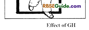 RBSE Class 12 Biology Notes Chapter 29 Man-Chemical Coordination 8
