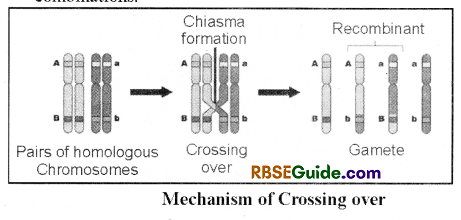 RBSE Class 12 Biology Notes Chapter 36 Man-Chromosomal Aberrations 8
