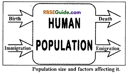 RBSE Class 12 Biology Notes Chapter 38 Human Population 21