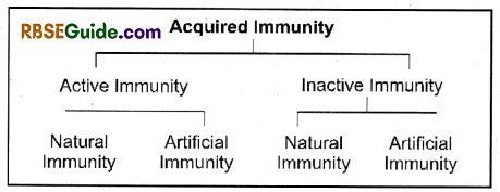 RBSE Class 12 Biology Notes Chapter 39 Immune System 12