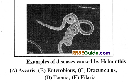 RBSE Class 12 Biology Notes Chapter 40 Important and Common Human Diseases 30