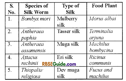 RBSE Class 12 Biology Notes Chapter 41 Domestication, Culture & Economic Importance of Animals 7