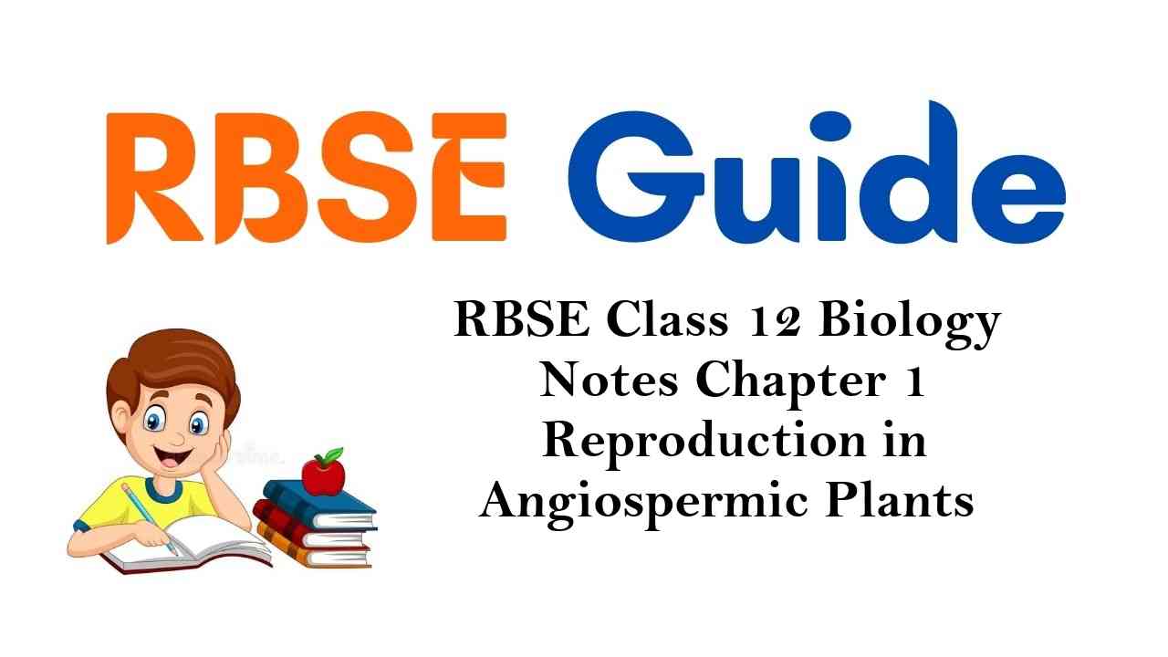 RBSE Class 12 Biology Notes Chapter 1 Reproduction in Angiospermic Plants