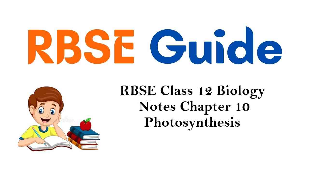 RBSE Class 12 Biology Notes Chapter 10 Photosynthesis Notes
