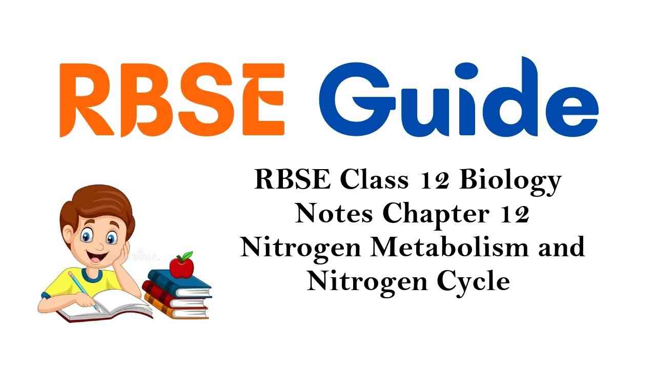 RBSE Class 12 Biology Notes Chapter 12 Nitrogen Metabolism and Nitrogen Cycle Notes