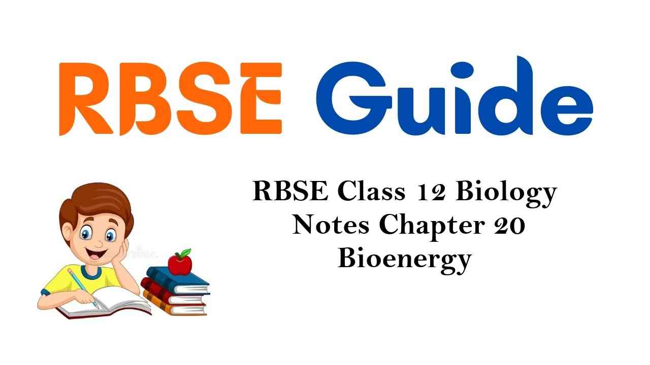RBSE Class 12 Biology Notes Chapter 20 Bioenergy