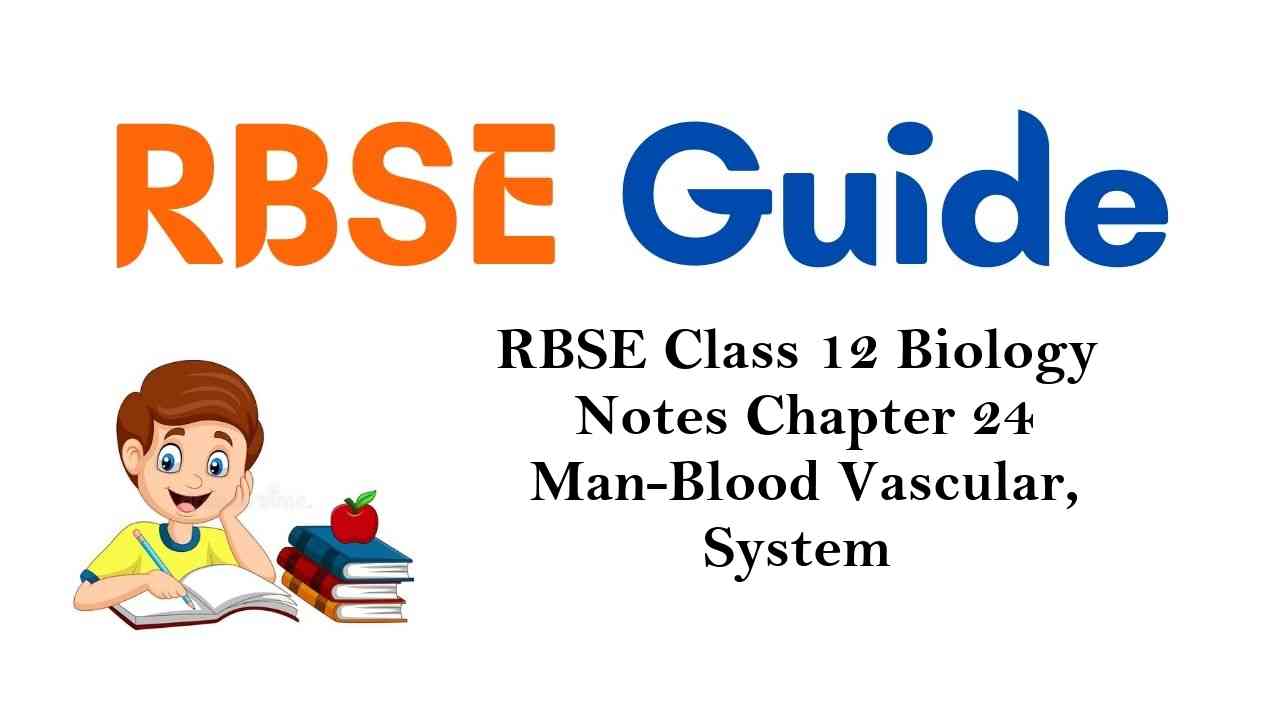 RBSE Class 12 Biology Notes Chapter 24 Man-Blood Vascular, System