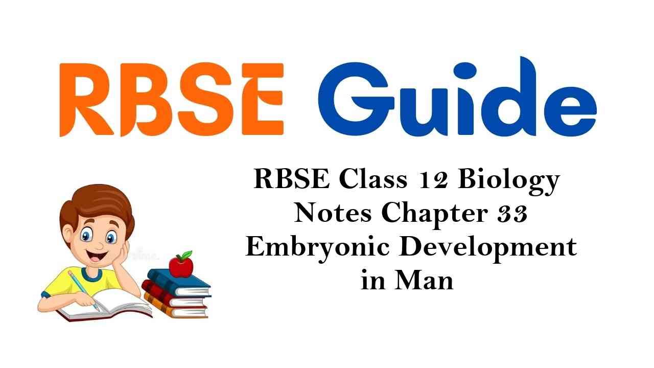 RBSE Class 12 Biology Notes Chapter 33 Embryonic Development in Man
