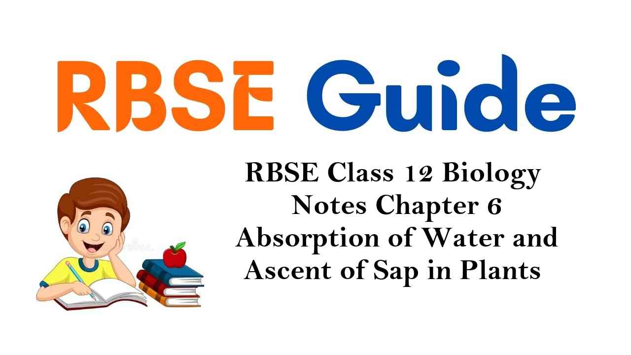 RBSE Class 12 Biology Notes Chapter 6 Absorption of Water and Ascent of Sap in Plants