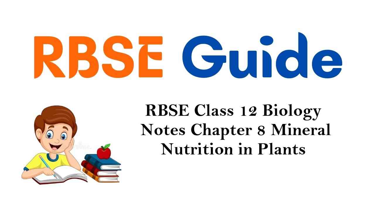 RBSE Class 12 Biology Notes Chapter 8 Mineral Nutrition in Plants