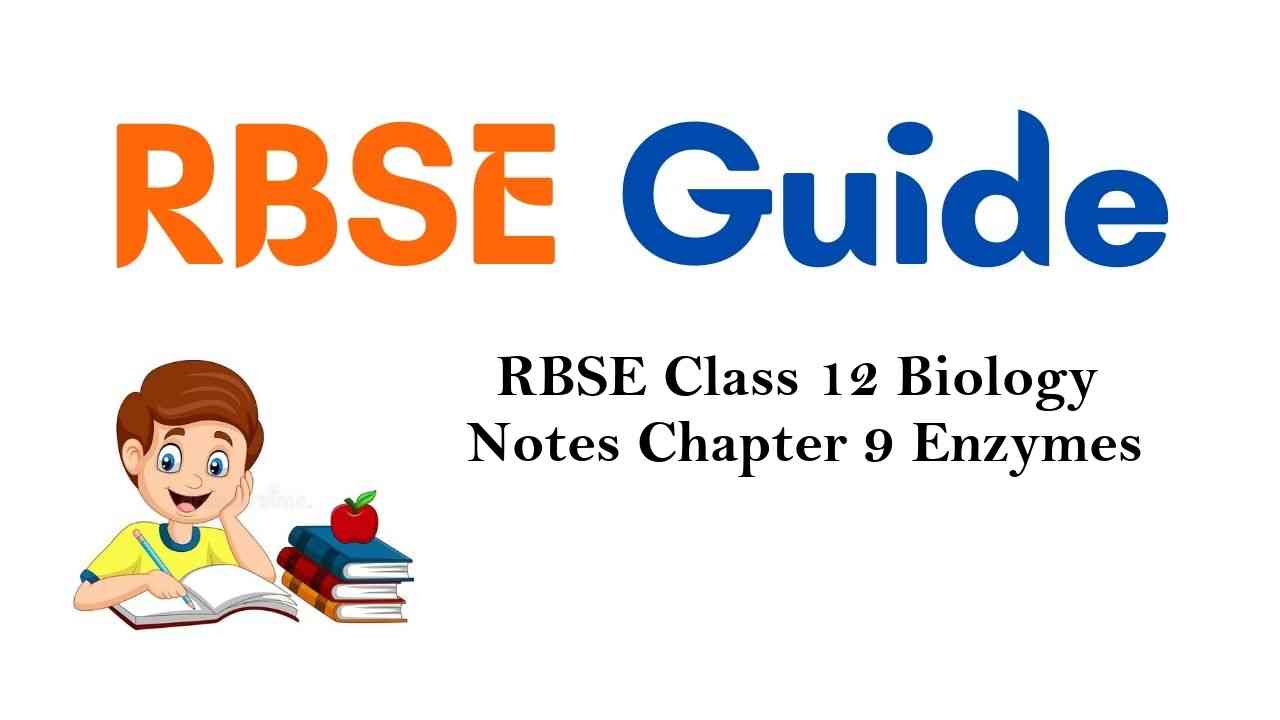 RBSE Class 12 Biology Notes Chapter 9 Enzymes